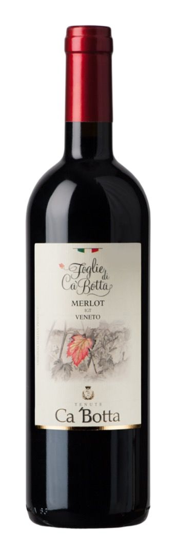 Ca'Botta Tenuta Cajo Amarone della Valpolicella 2016